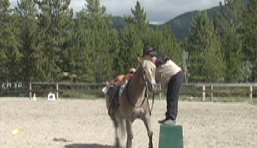 Capture the Saddle approach mounting block 26