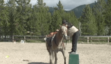 Capture the Saddle approach mounting block 26