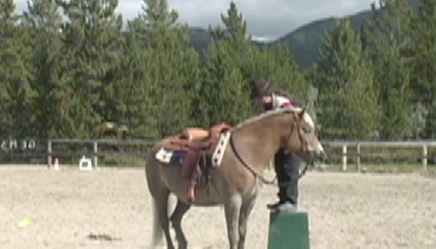 Capture the Saddle approach mounting block 27