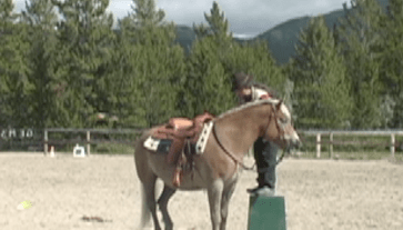 Capture the Saddle approach mounting block 27