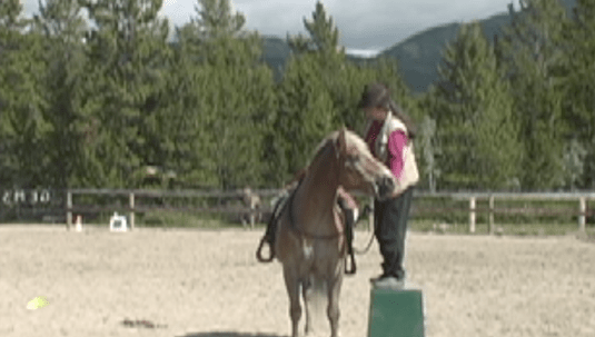 Capture the Saddle approach mounting block 44