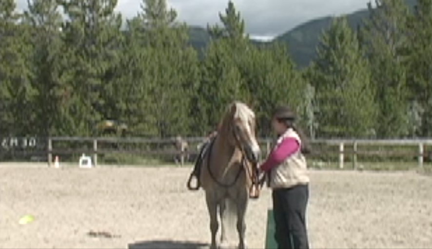 Capture the Saddle approach mounting block 45