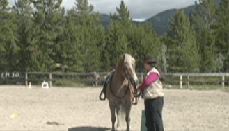 Capture the Saddle approach mounting block 45