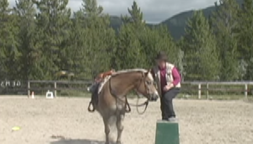 Capture the Saddle approach mounting block baseline 4