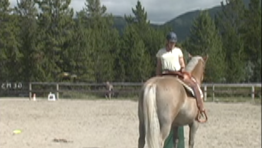 capture the saddle overswings with owner 2