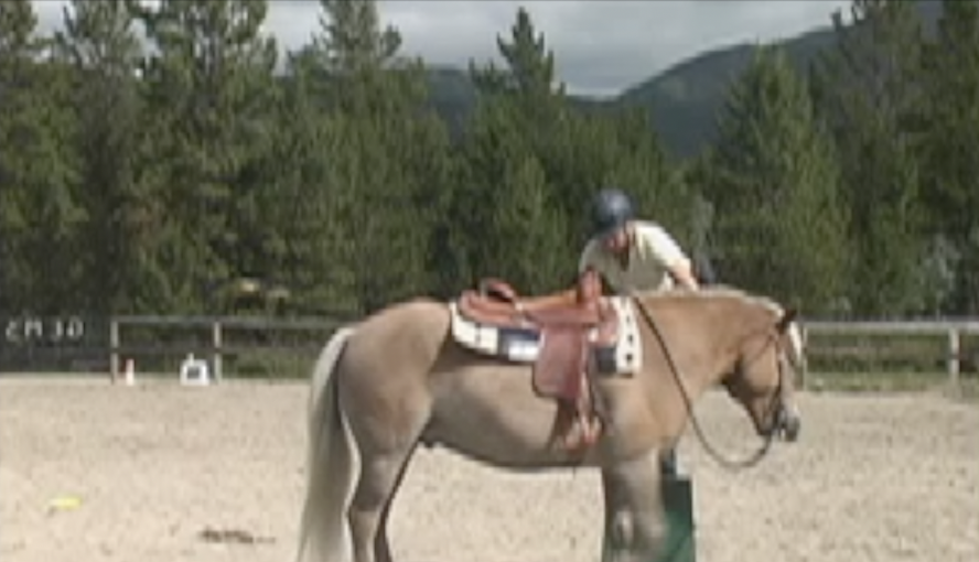 Capture the saddle with owner -baseline