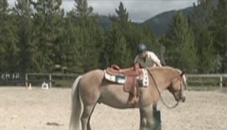 Capture the saddle with owner -baseline