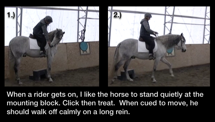 Icky at mouting block 2 photos at 11.18.23 AM