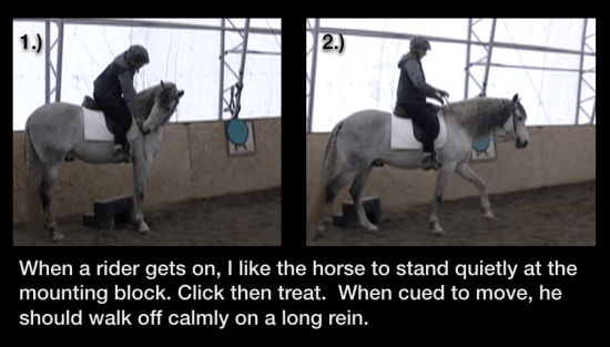 Icky at mouting block 2 photos at 11.18.23 AM