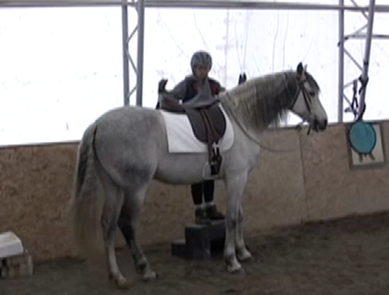 Icky mounting block - hands up