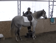 Icky mounting block - hands up