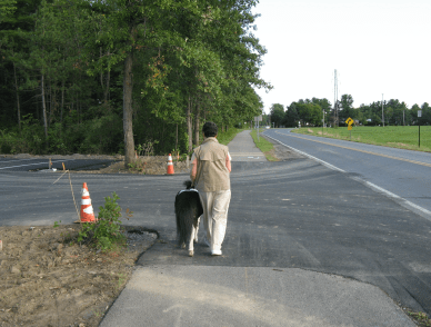 Panda environmental cues