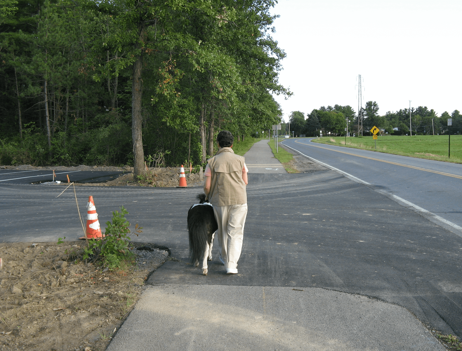 Panda environmental cues