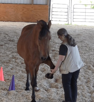 Robin target knee 2016-06-18 at 3.48.33 PM