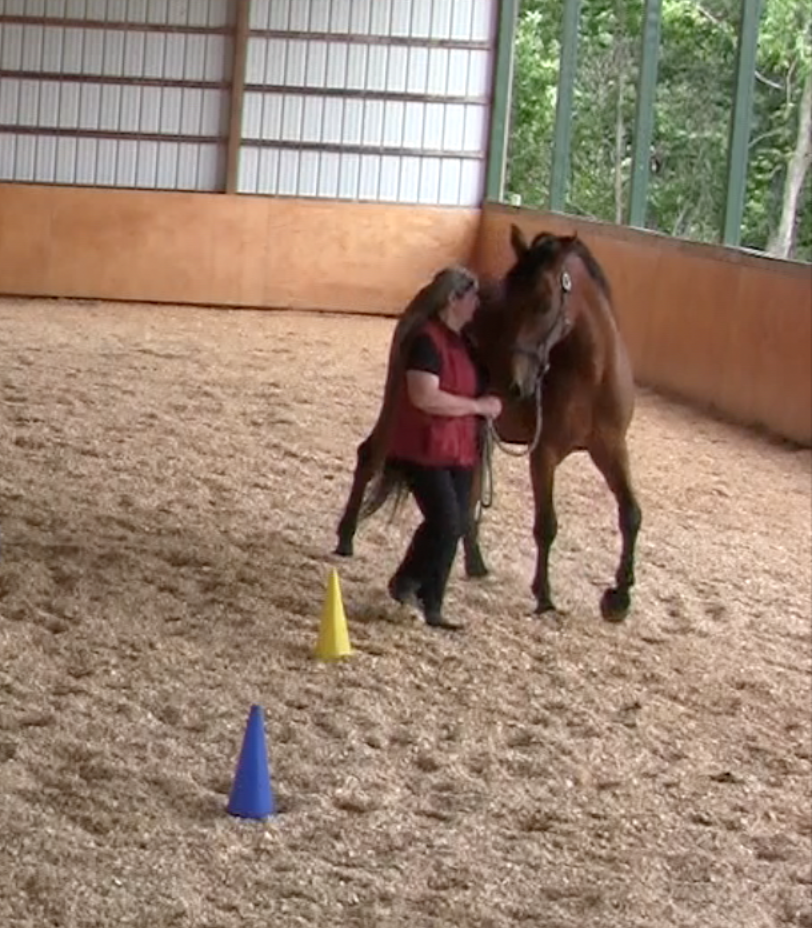Robin wwylm facing very connected good at 12.06.42 PM
