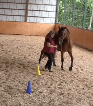 Robin wwylm facing very connected good at 12.06.42 PM