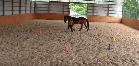 Robin wwylm far end collecting 1 at 11.59.50 AM
