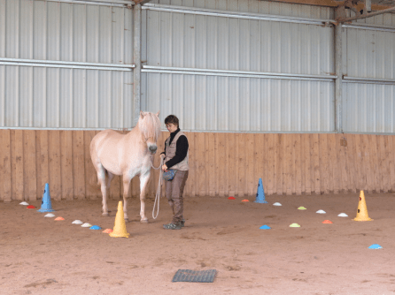 backing in a square of poka dots