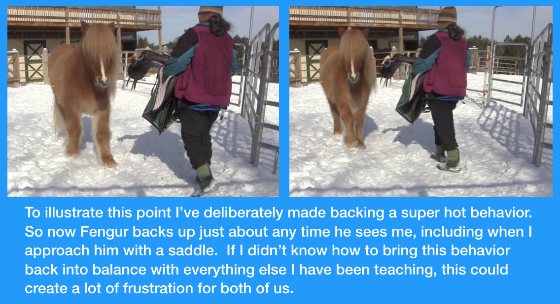 fengur backing from saddle with caption