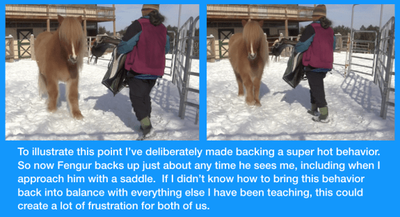 fengur backing from saddle with caption