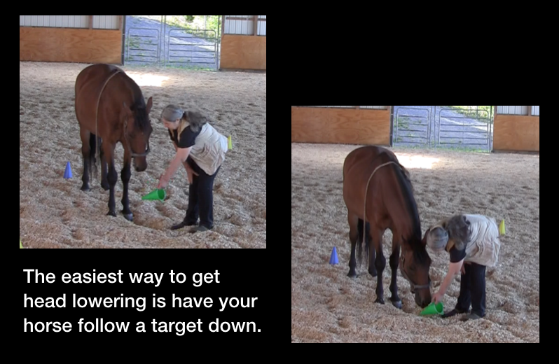 head lowering follow cone 2 photos