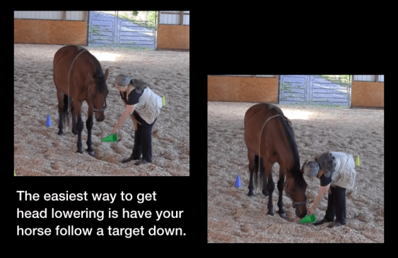 head lowering follow cone 2 photos