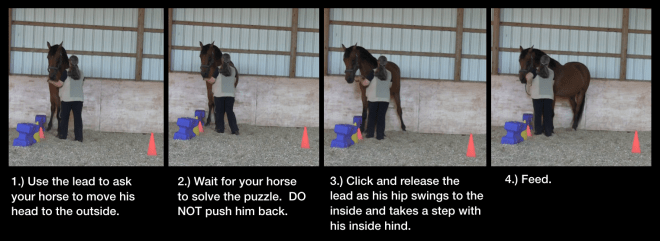 Robin back in square 3 photos