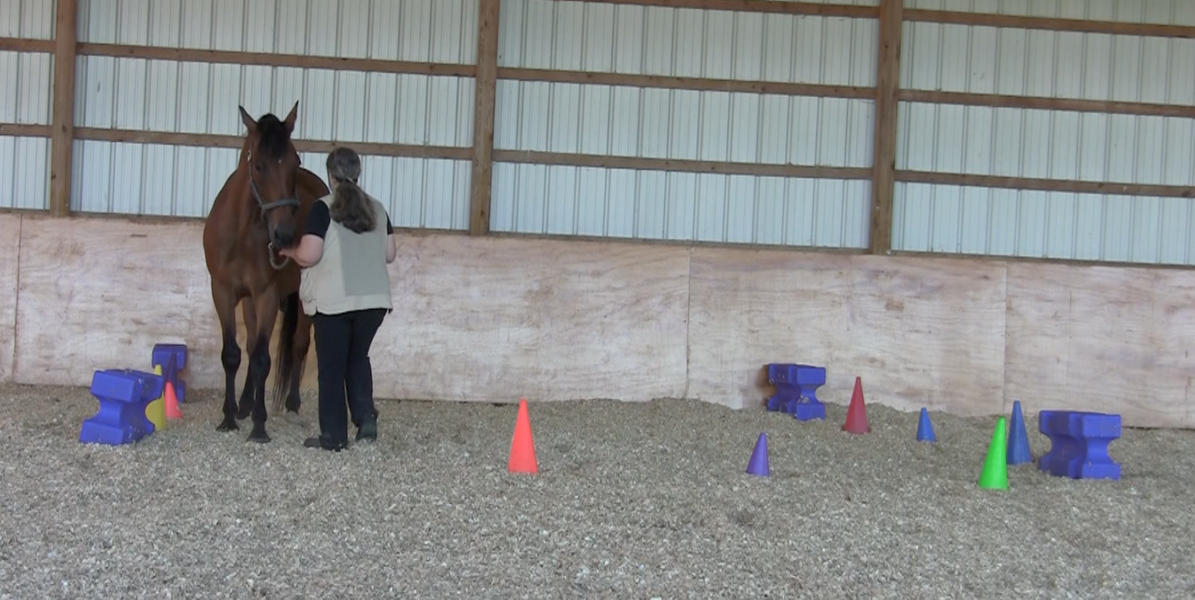 Robin back in square