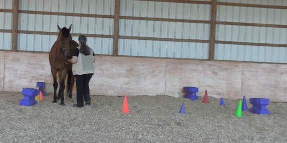 Robin back in square