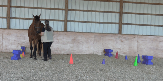 Robin back in square