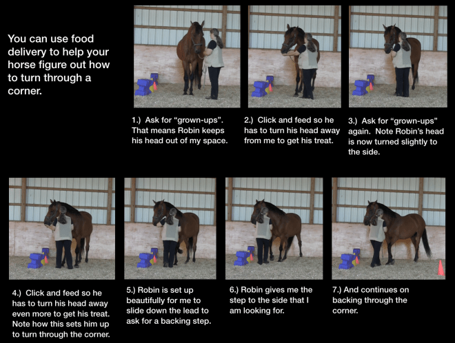 Robin back thru square with food delivery - captions