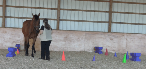 Robin backing in square 1