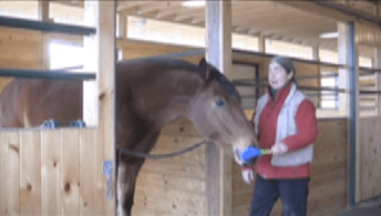 Robin coming forward for target