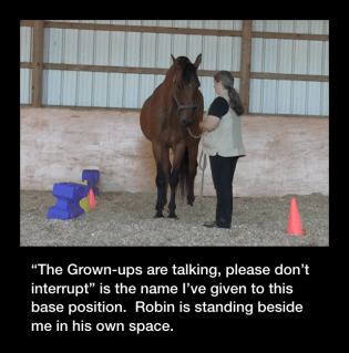 Robin grown ups with caption