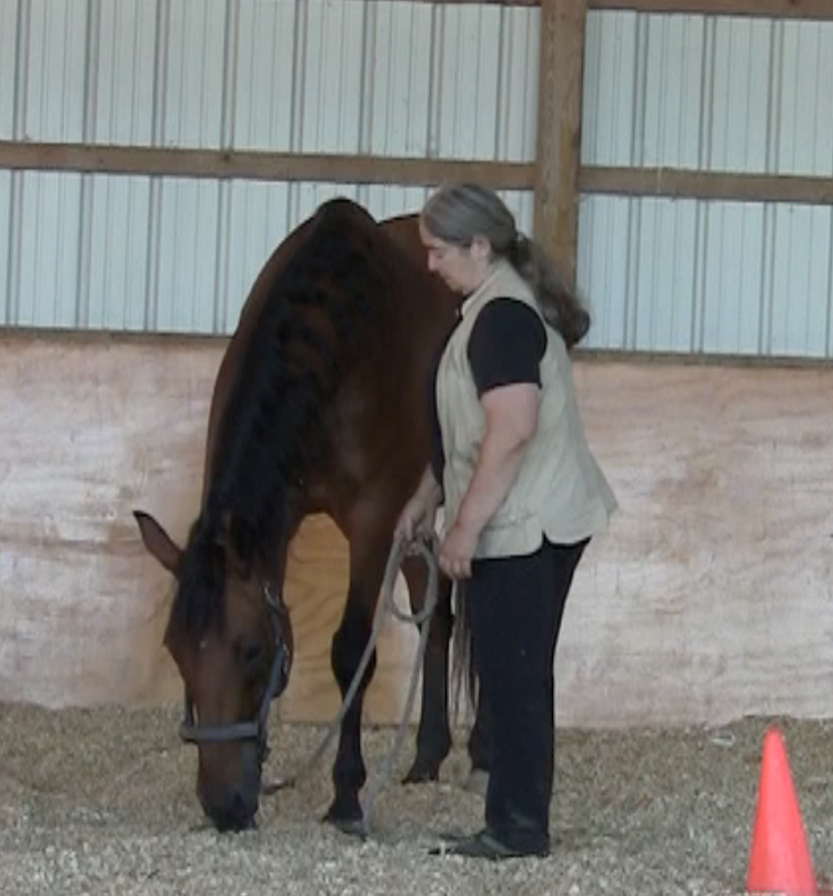 Robin head lowering 1