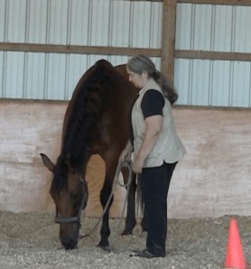 Robin head lowering 1