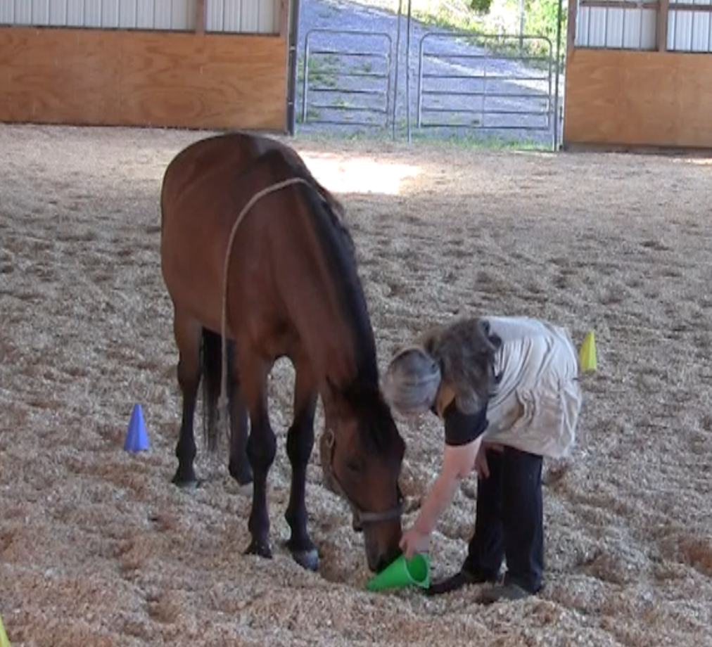 robin head lowering green cone down