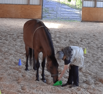 robin head lowering green cone down