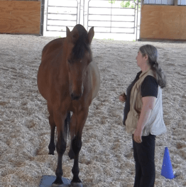 Robin pose on mat 2016-06-18 at 3.53.41 PM