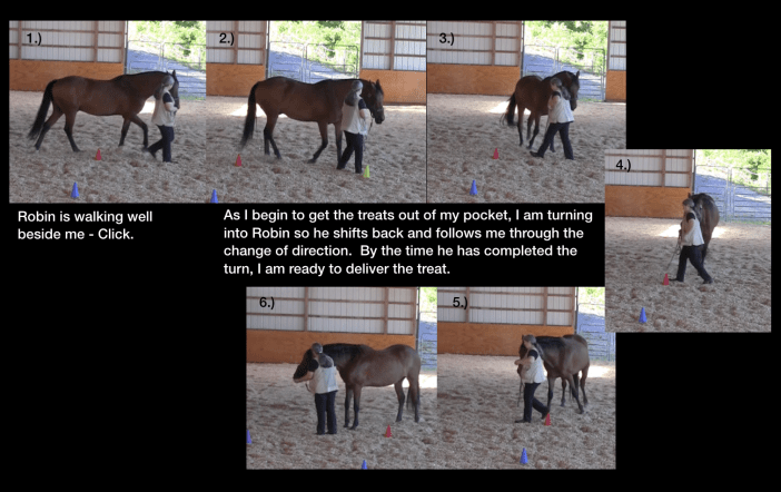 Why would you leave me change of direction sequence Robin