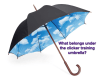 clicker umbrella 1