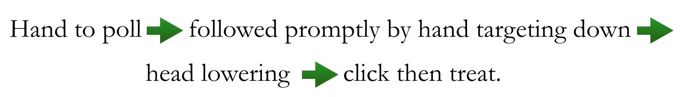 Hand on poll graphic