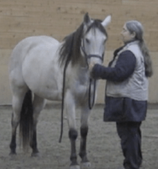 poco-click-on-exhale