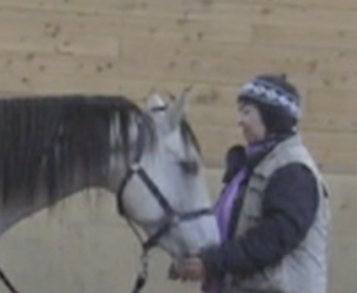 poco-come-into-hands