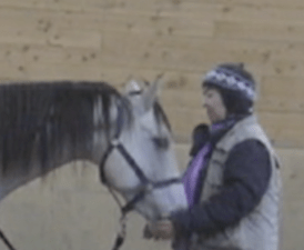 poco-come-into-hands