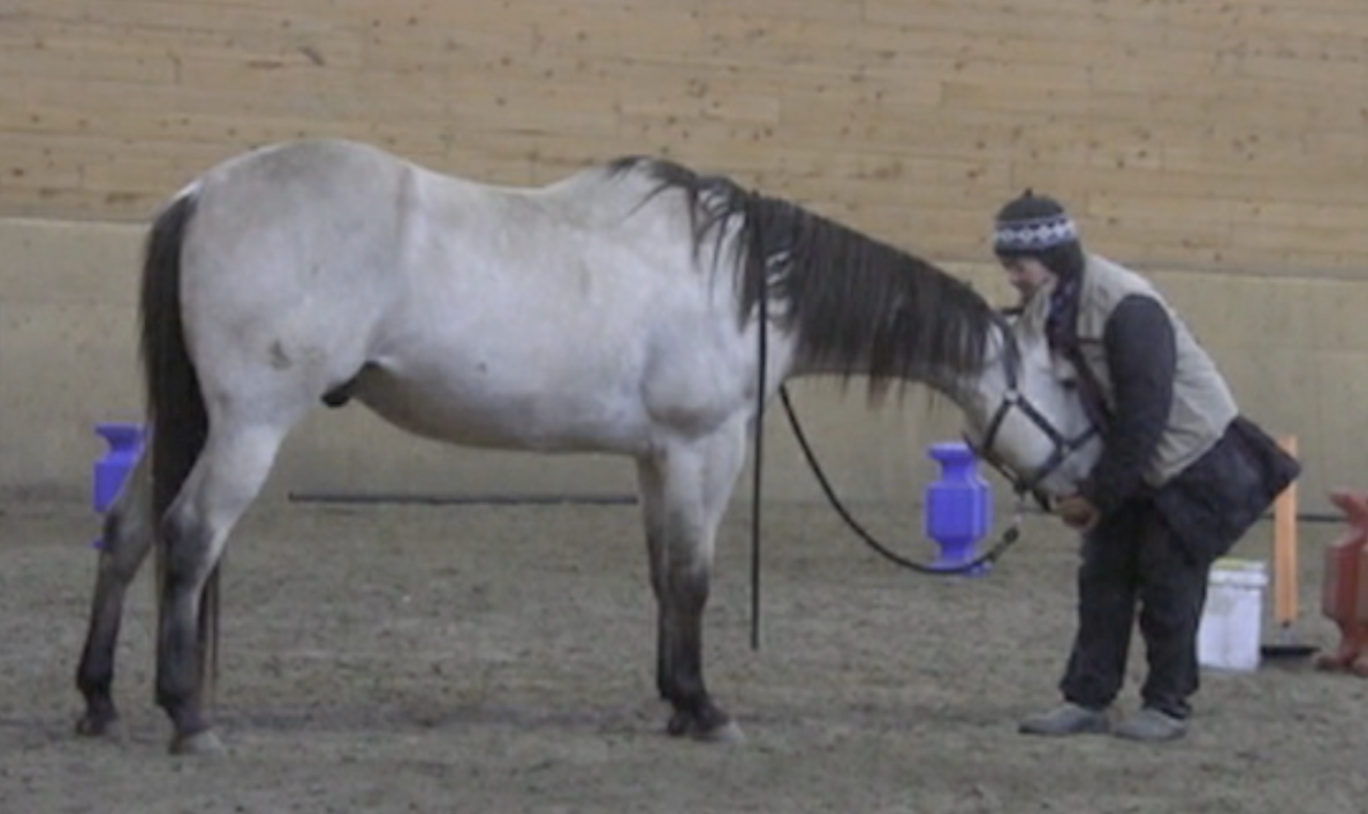 poo-deep-release-4-good