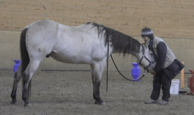 poo-deep-release-4-good