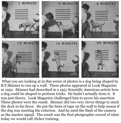 skinner-with-dog-with-caption