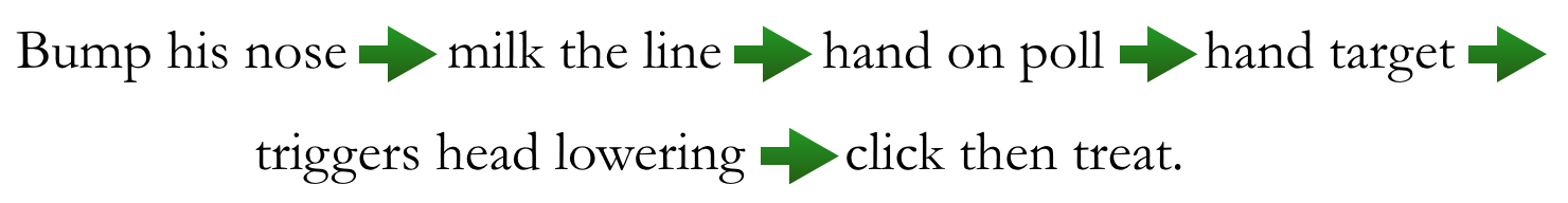 transfer cue full sequence