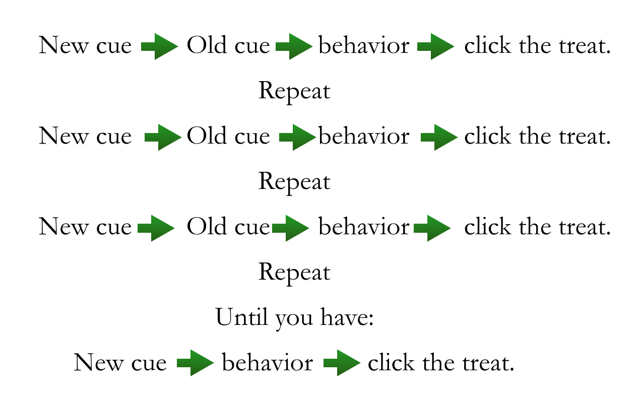 transfer cue process